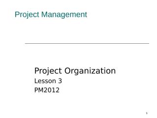 pm lesson 3 project organisation .ppt